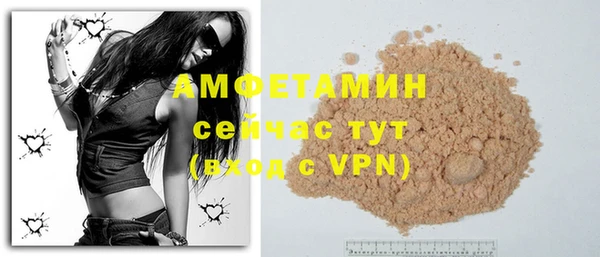 индика Бородино