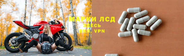 индика Бородино