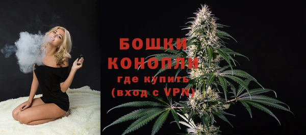 гидра Бронницы