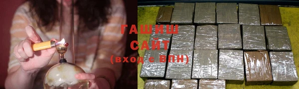индика Бородино
