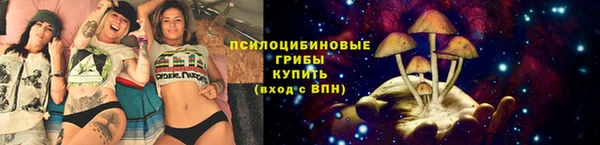 ешки Богородицк