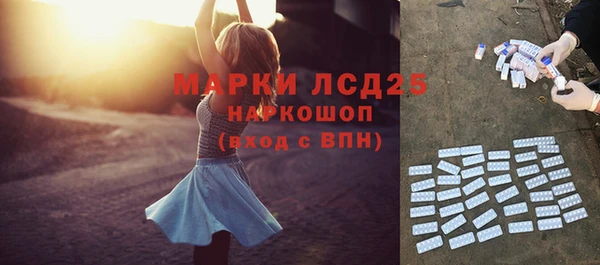 PSILOCYBIN Заводоуковск
