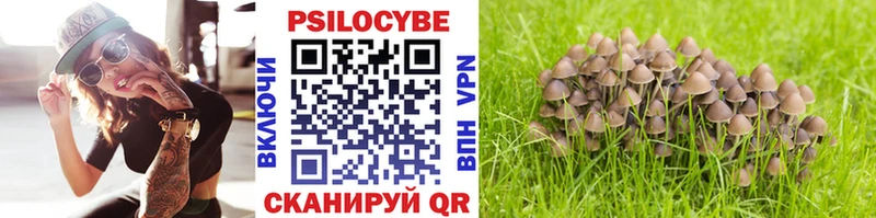 Галлюциногенные грибы GOLDEN TEACHER  гидра маркетплейс  Южно-Сухокумск  наркота 