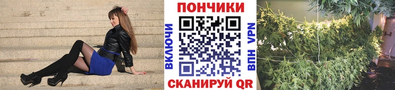 Шишки марихуана OG Kush  Южно-Сухокумск 